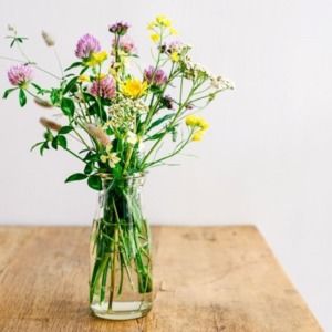 Meet your Posher, Molly